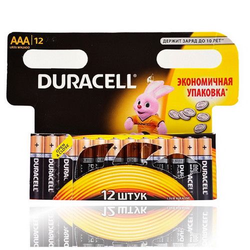 Duracell AAA batteries (12pcs)